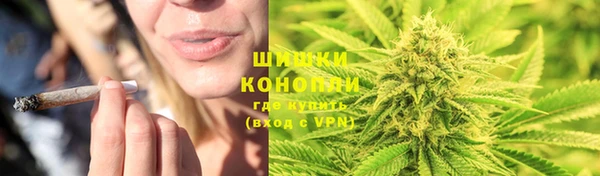 спиды Лагань