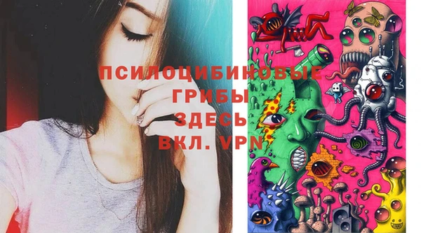 спиды Лагань