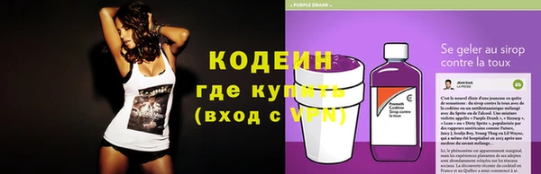 спиды Лагань