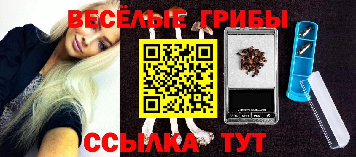 Псилоцибиновые грибы MAGIC MUSHROOMS Великий Новгород