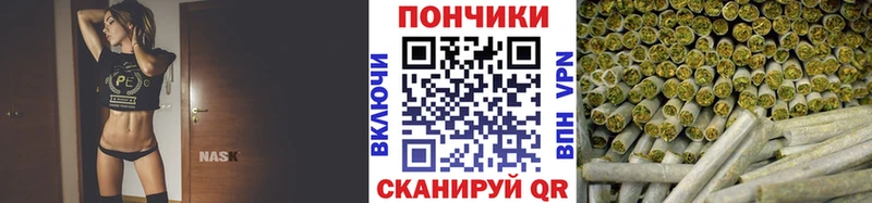 МЕГА ССЫЛКА  Великий Новгород  Каннабис VHQ 